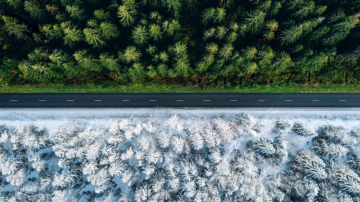 Total Confidence All Winter Long