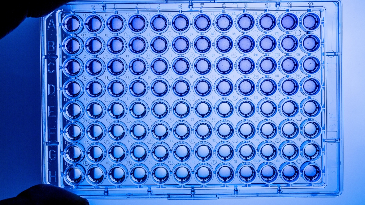 의학 실험에 사용되는 웰 플레이트